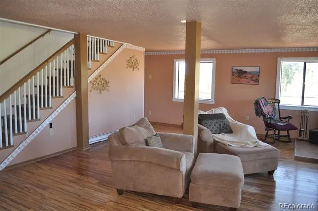 237 Foxtail Court Fairplay, CO 80440
