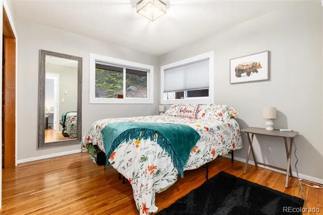 159 Lake Road Idaho Springs, CO 80452