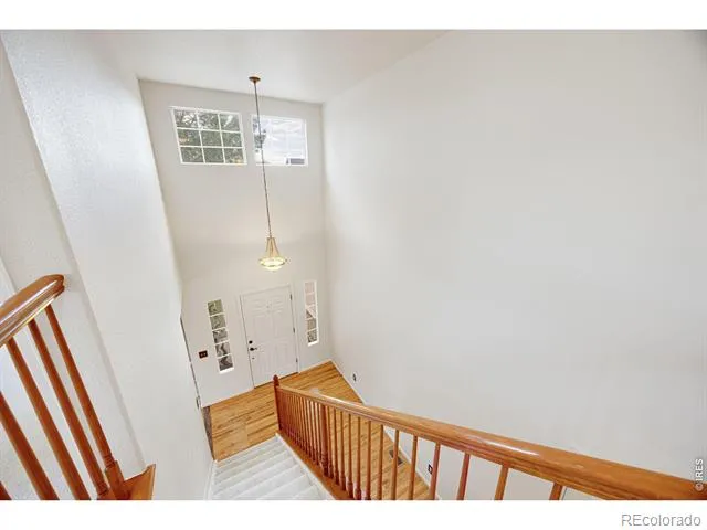 3505 Cheetah Drive Loveland, CO 80537