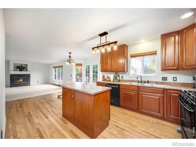3505 Cheetah Drive Loveland, CO 80537