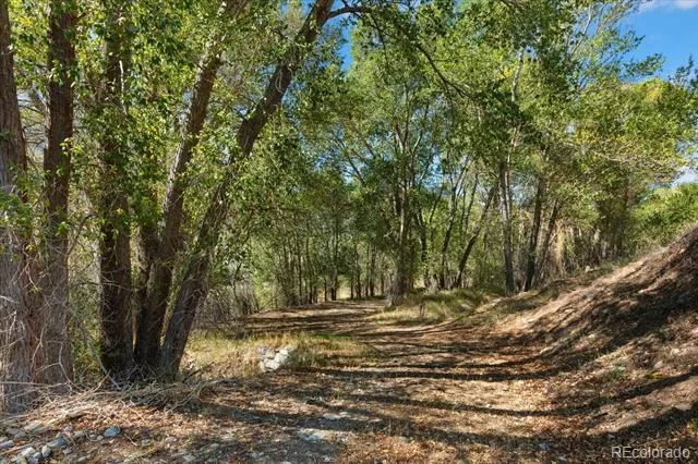 9901 County Road 120 Salida, CO 81201