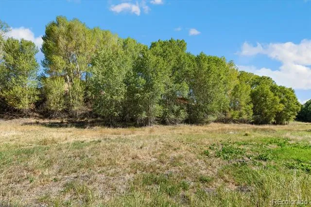 9901 County Road 120 Salida, CO 81201