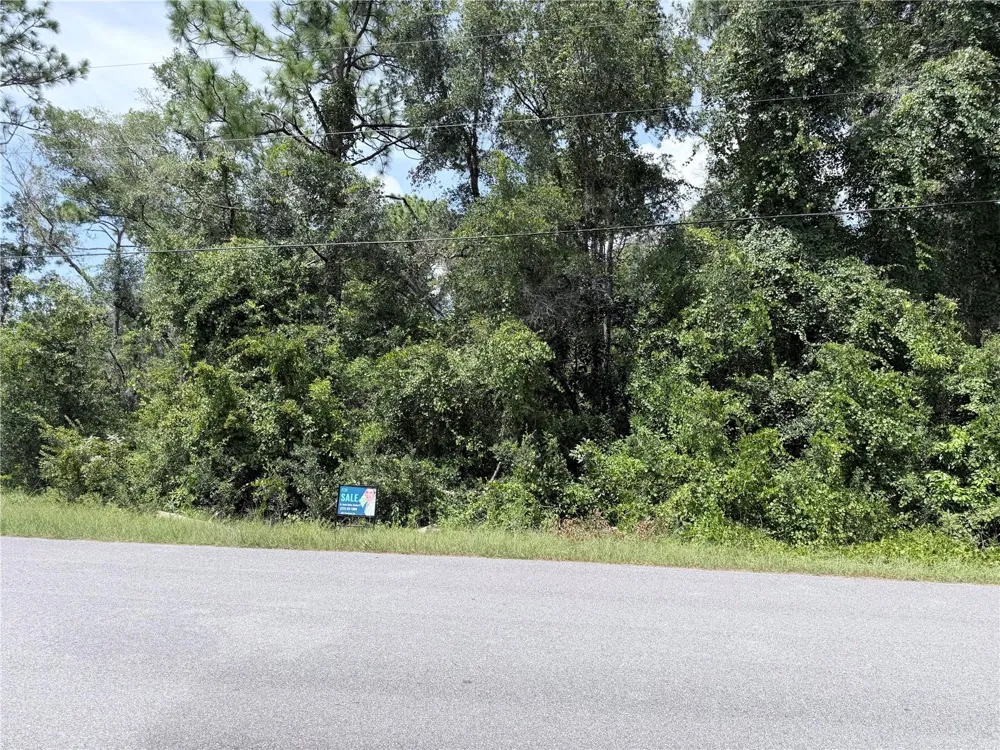 13155 SADDLE WAY Brooksville, FL 34613