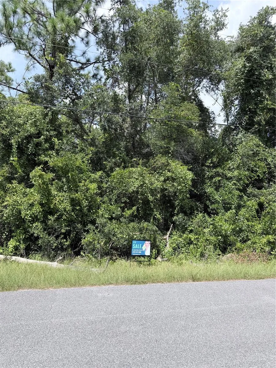 13155 SADDLE WAY Brooksville, FL 34613
