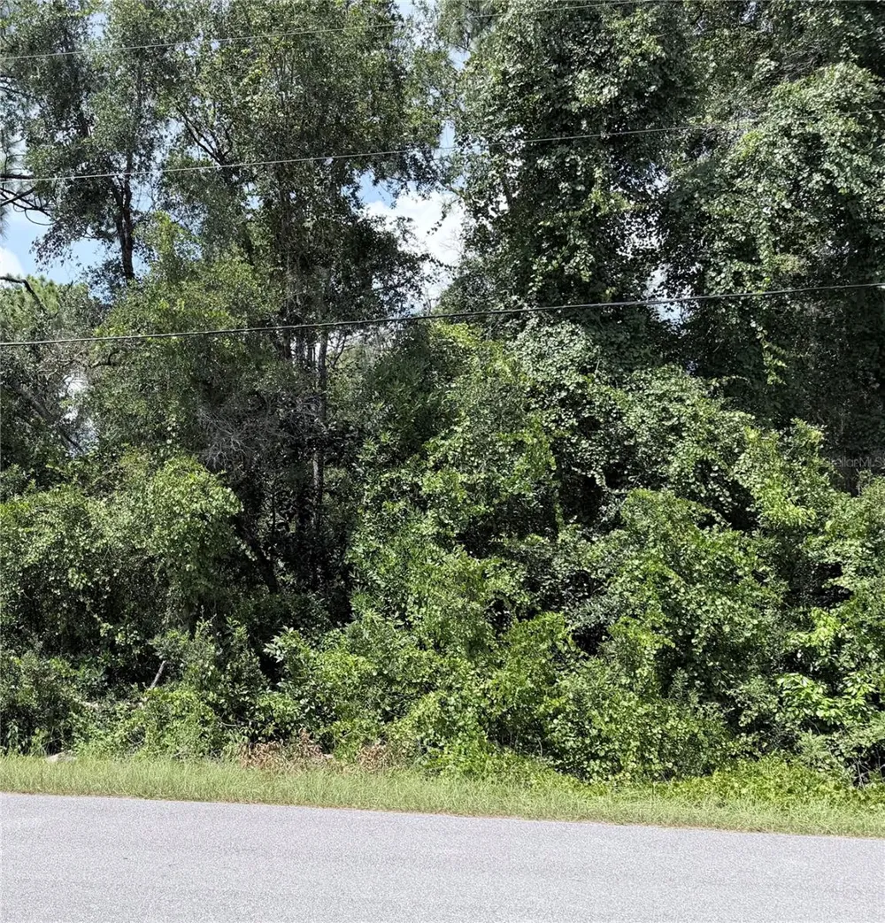 13155 SADDLE WAY Brooksville, FL 34613