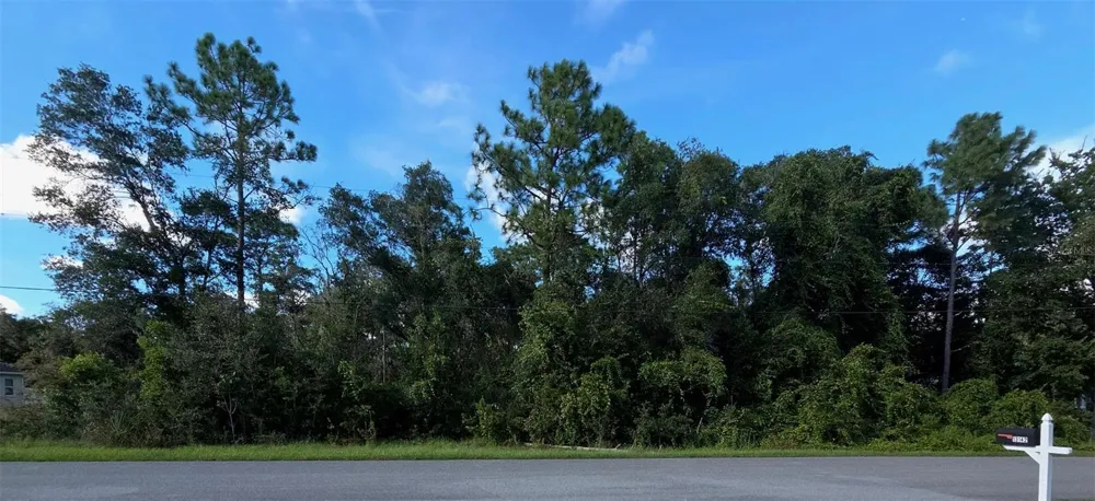 13155 SADDLE WAY Brooksville, FL 34613
