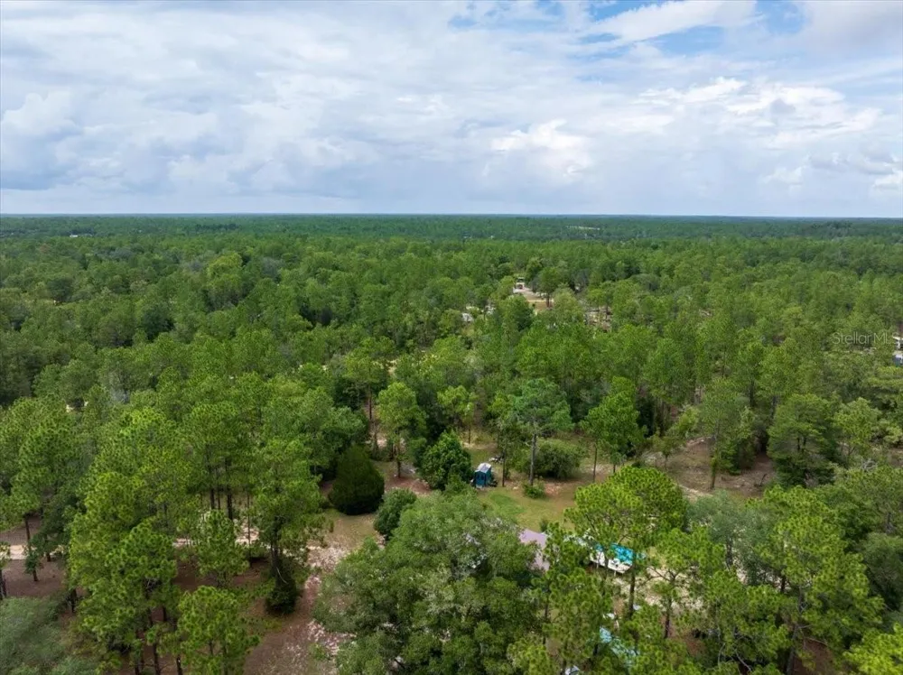 112 BIRCHDALE TRAIL Hawthorne, FL 32640