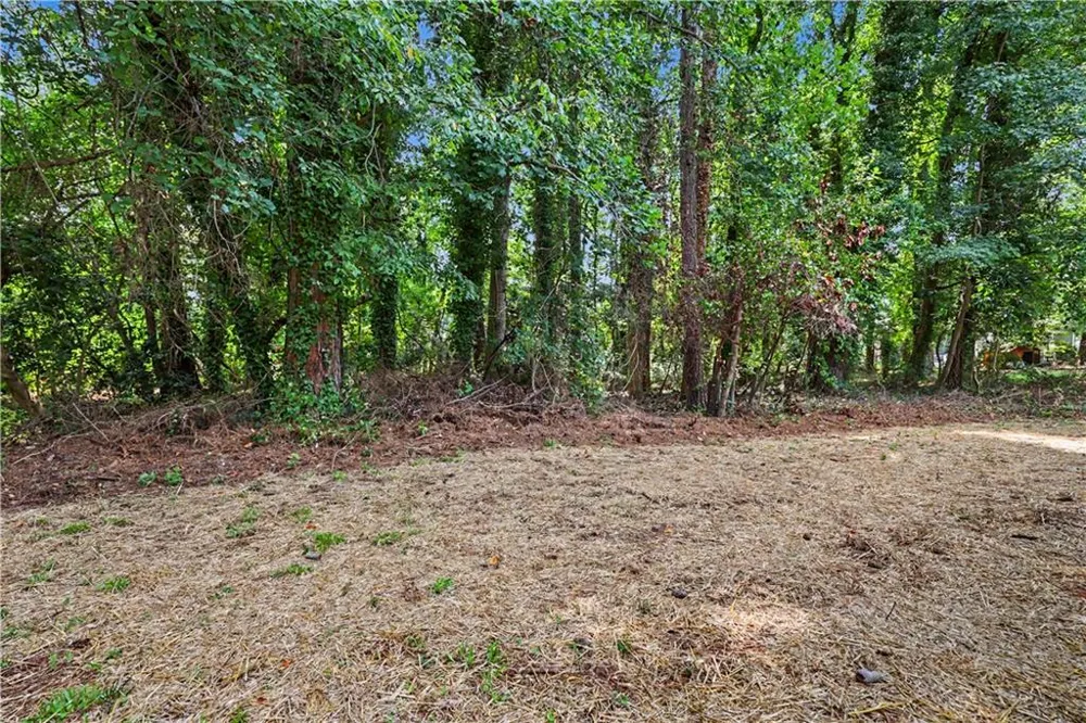 6200 Auburn Drive Riverdale, GA 30296