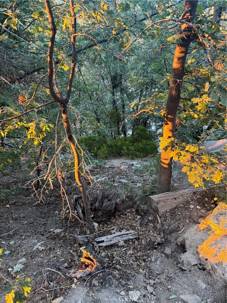 Ridge Dr Running Springs, CA 92382