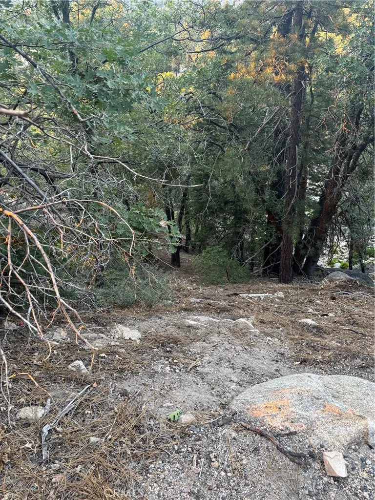 Ridge Dr Running Springs, CA 92382