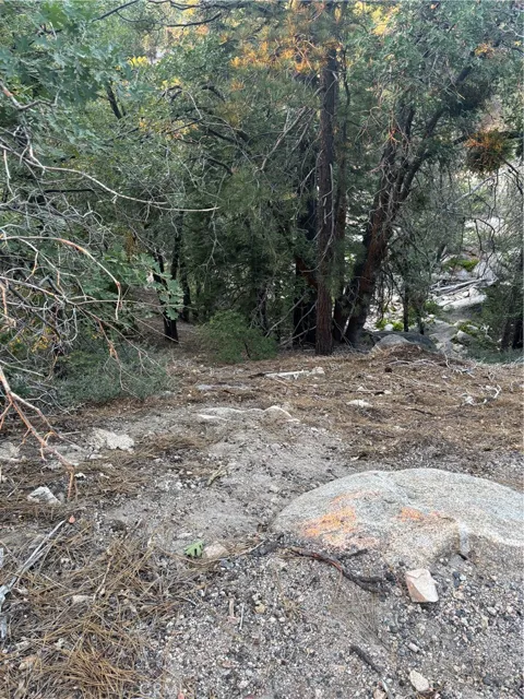 Ridge Dr