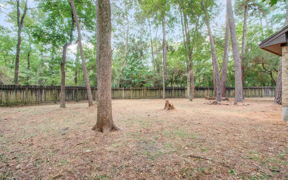 19 Tremont Woods Court The Woodlands, TX 77381
