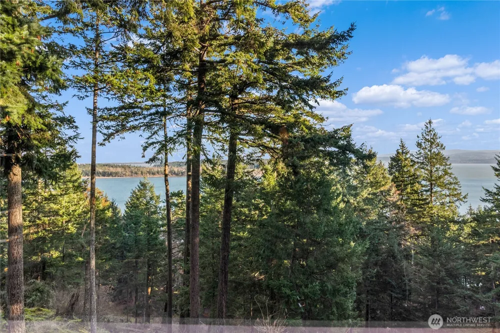 1103 Berry Way Lummi Island, WA 98262