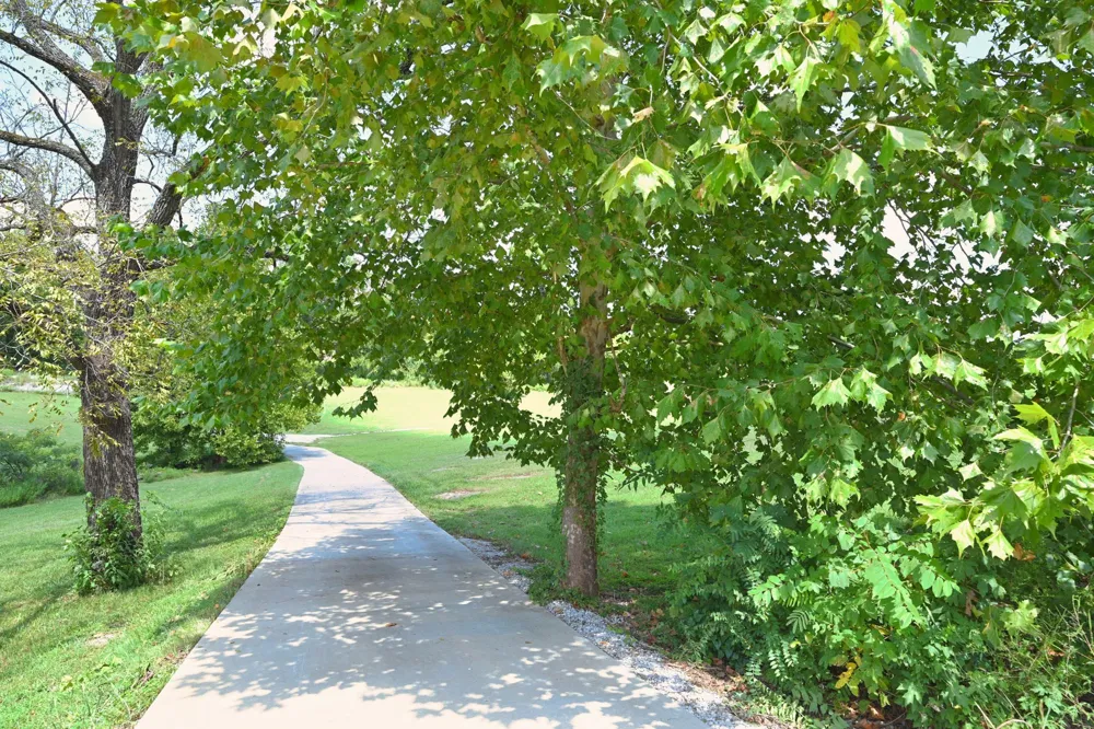 28 Edd Hackett Rd Pleasant Shade, TN 37145