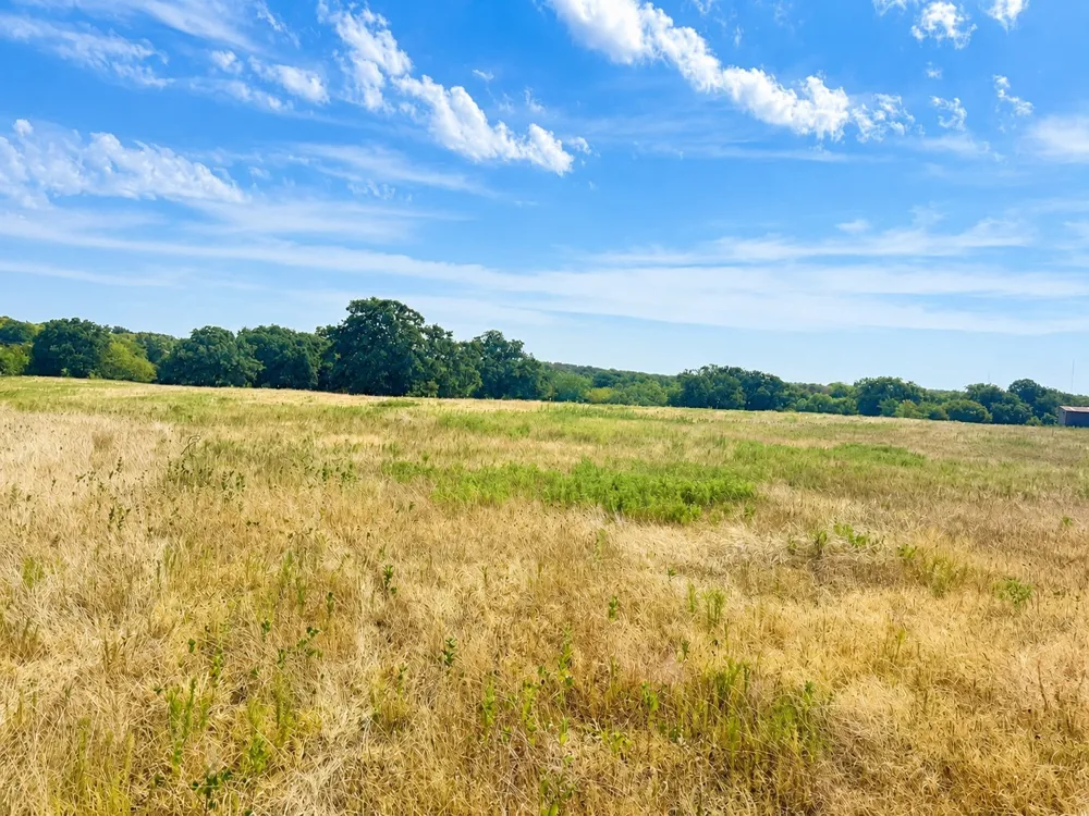 406 Upper Montague Road Bowie, TX 76230