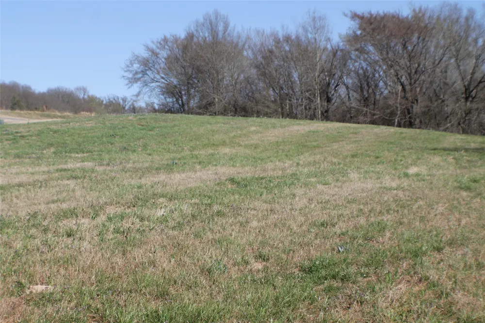 Lago Vista Drive Athens, TX 75752