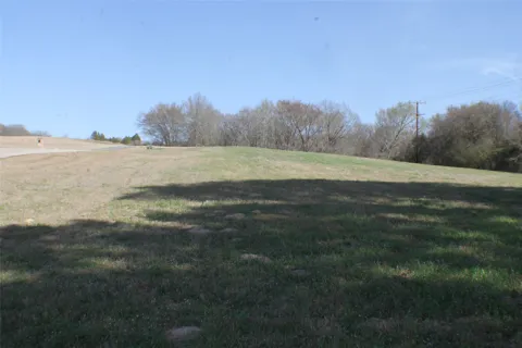 Lago Vista Drive