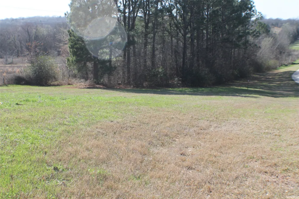 Lago Vista Drive Athens, TX 75752