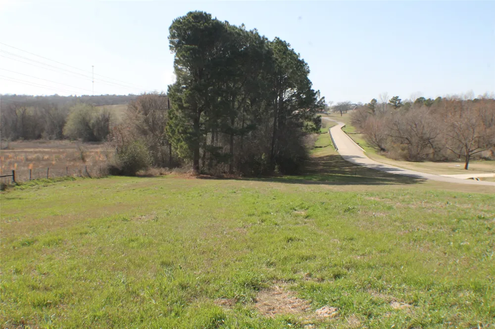 Lago Vista Drive Athens, TX 75752
