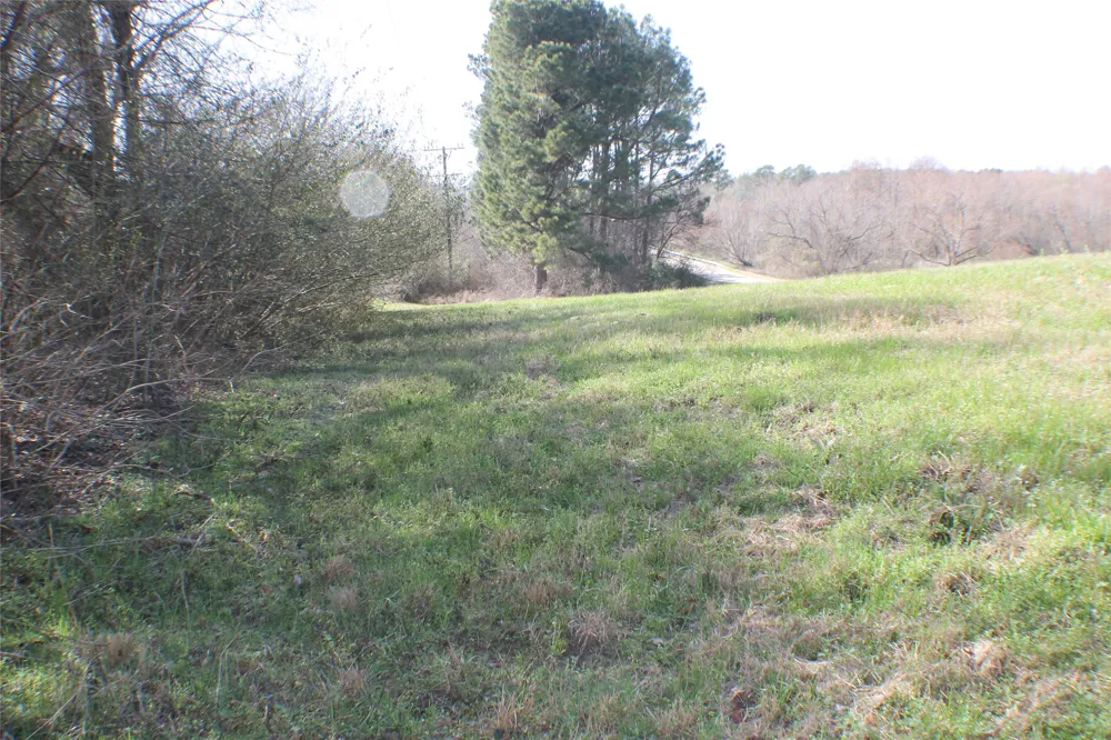 Lago Vista Drive Athens, TX 75752