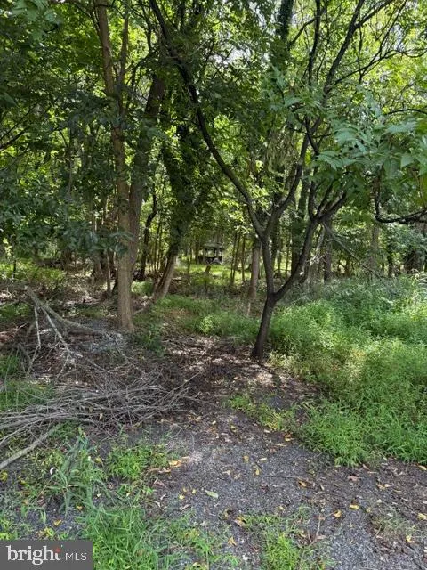 50 SAINT PAUL STREET #LOT 2