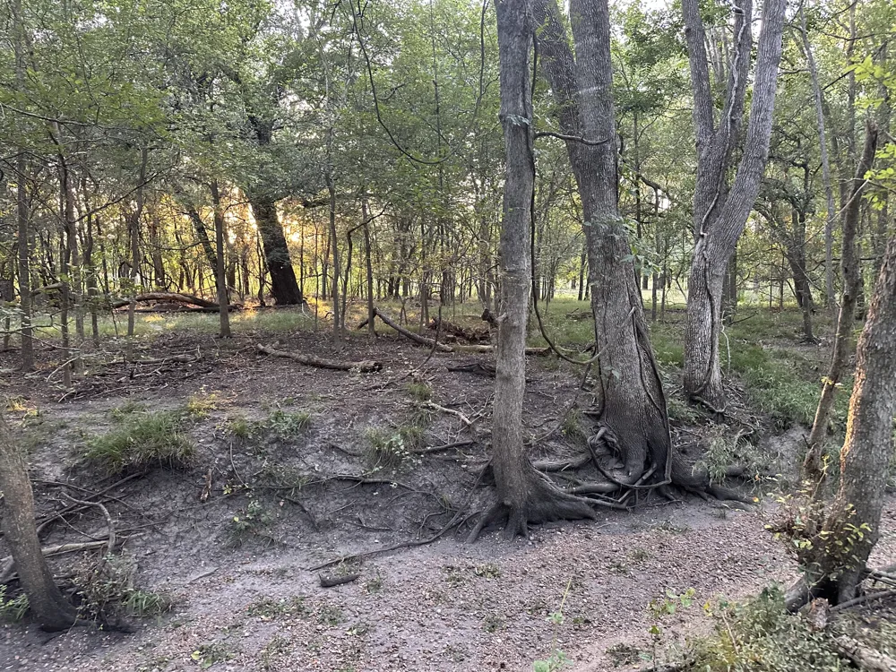 4900 Krischke Road Schulenburg, TX 78956