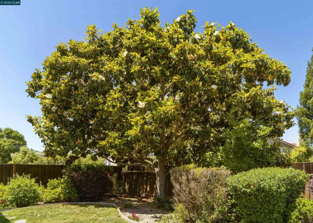 3237 Vera Cruz Dr San Ramon, CA 94583