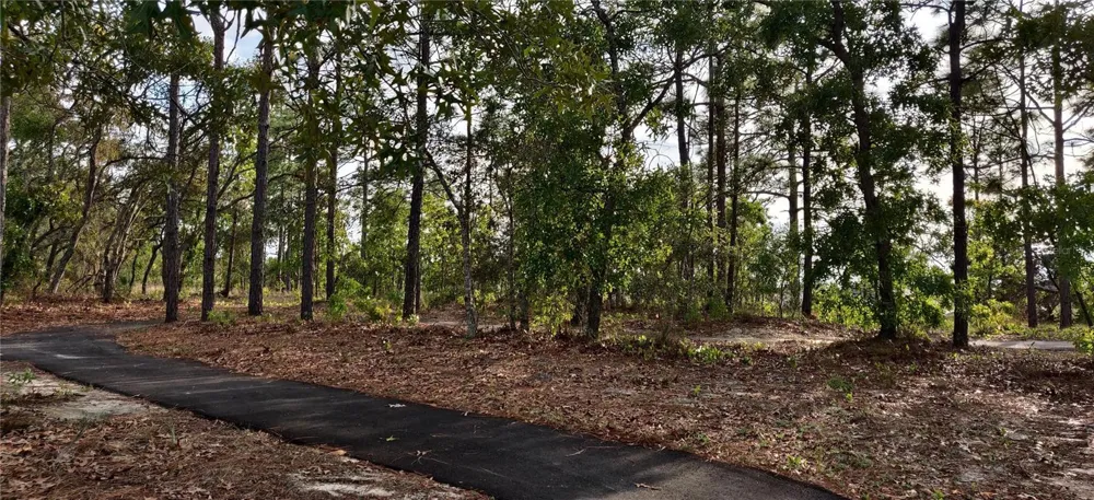 5568 OCEAN BREEZE DRIVE Spring Hill, FL 34609