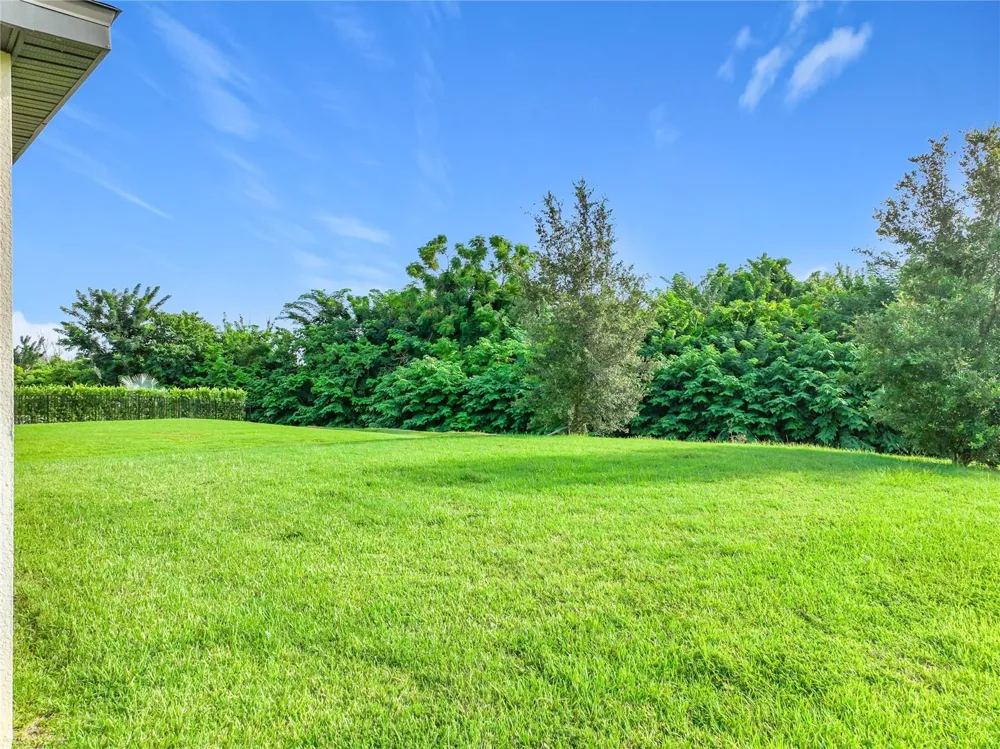 2471 SKY STONE COURT Oakland, FL 34787