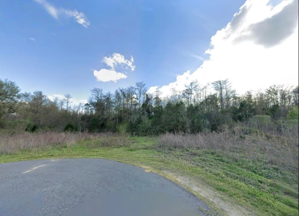 Unassigned BUCKHEAD DRIVE Grand Ridge, FL 32442