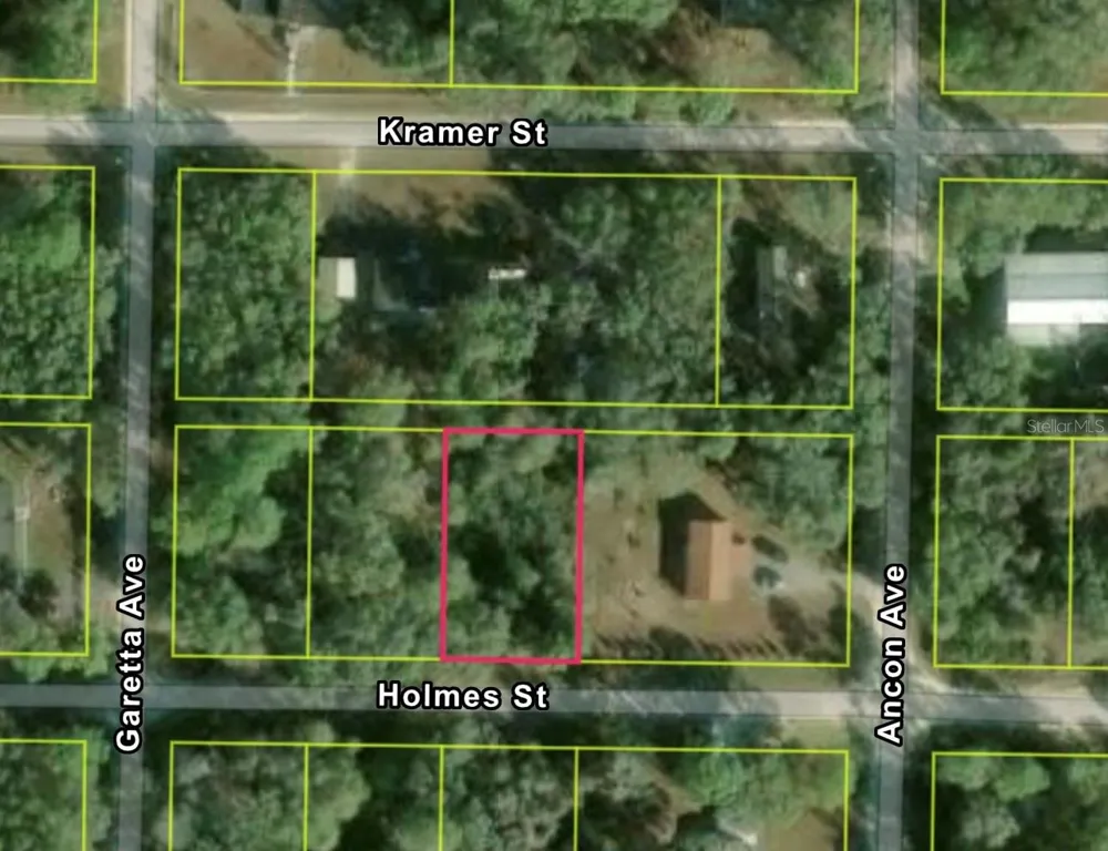 35415 HOLMES STREET Webster, FL 33597