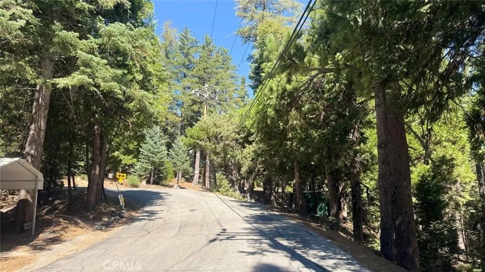 26578 Lake Forest Drive Twin Peaks, CA 92391