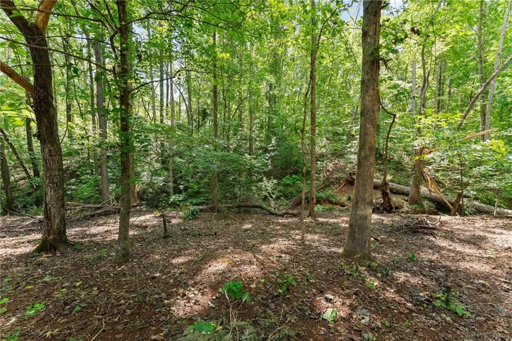 202 Old Lake Lane Dawsonville, GA 30534