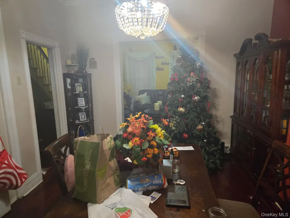 537 Jerome Street Brooklyn, NY 11207