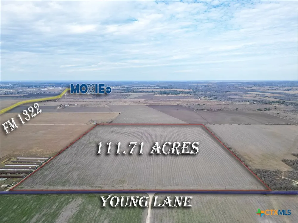 Young Lane Lockhart, TX 78644