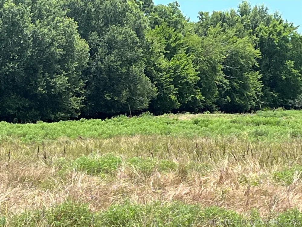 County RD 3800 Road Coalgate, OK 74538