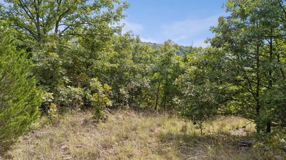 Hickory Drive Sand Springs, OK 74063