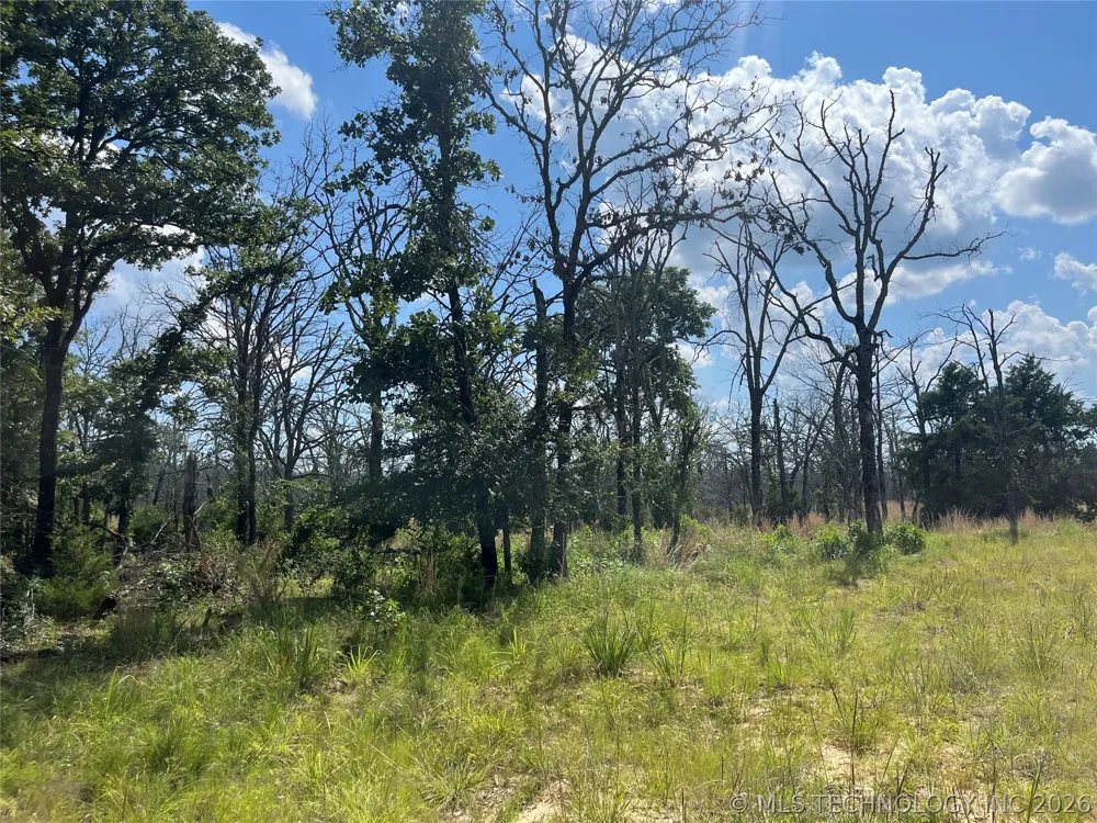 Bill Ward Road Coalgate, OK 74538