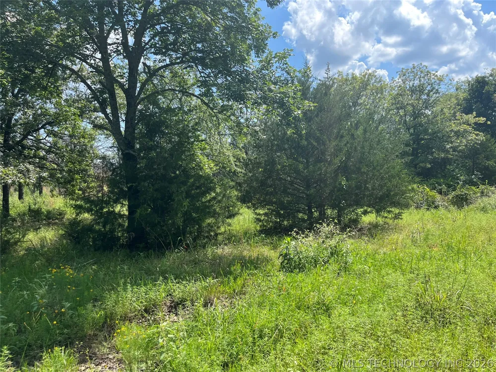 Bill Ward Road Coalgate, OK 74538