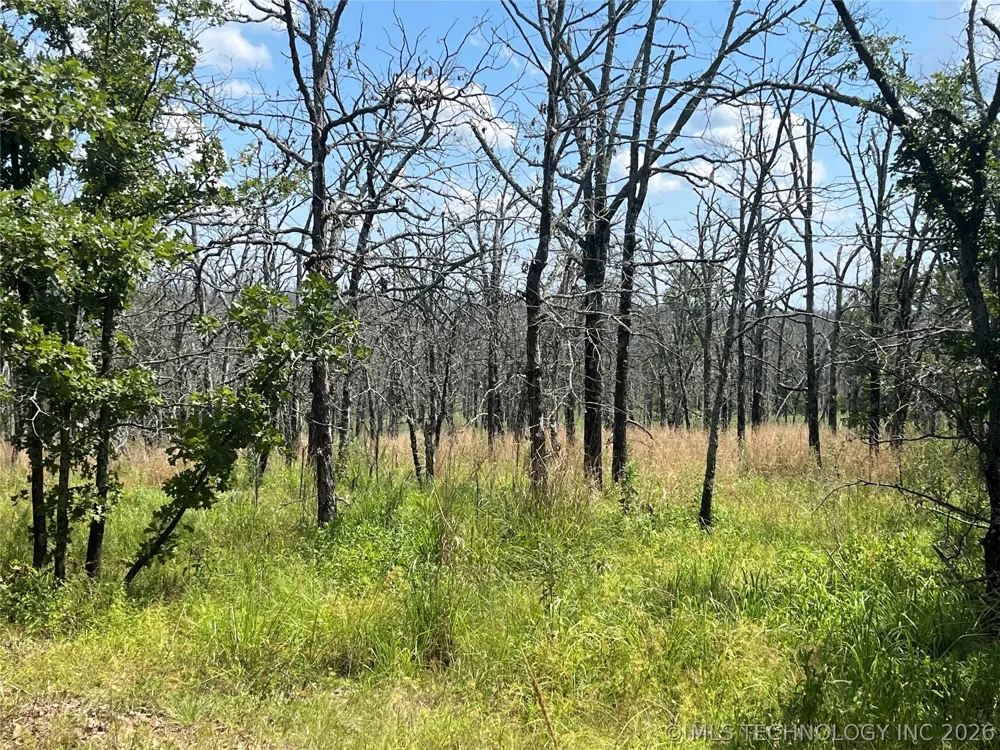 Bill Ward Road Coalgate, OK 74538