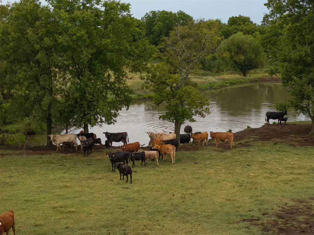 12765 S 431 ROAD Chouteau, OK 74337