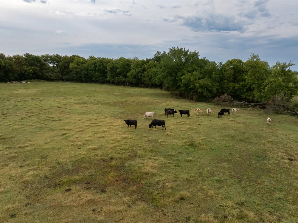 12765 S 431 ROAD Chouteau, OK 74337