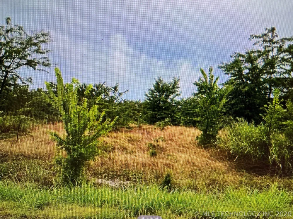 1299 Hwy 70 Highway Madill, OK 73446
