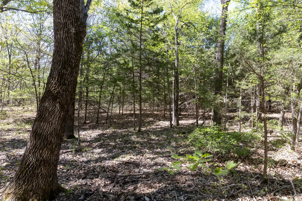 3 E 1180 ROAD Okemah, OK 74859
