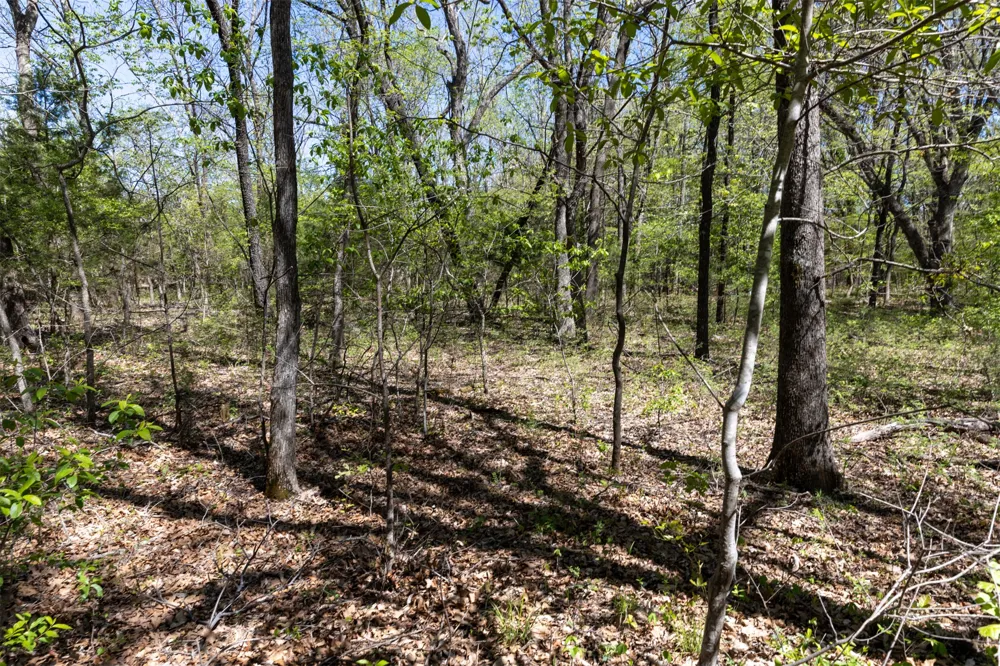 3 E 1180 ROAD Okemah, OK 74859