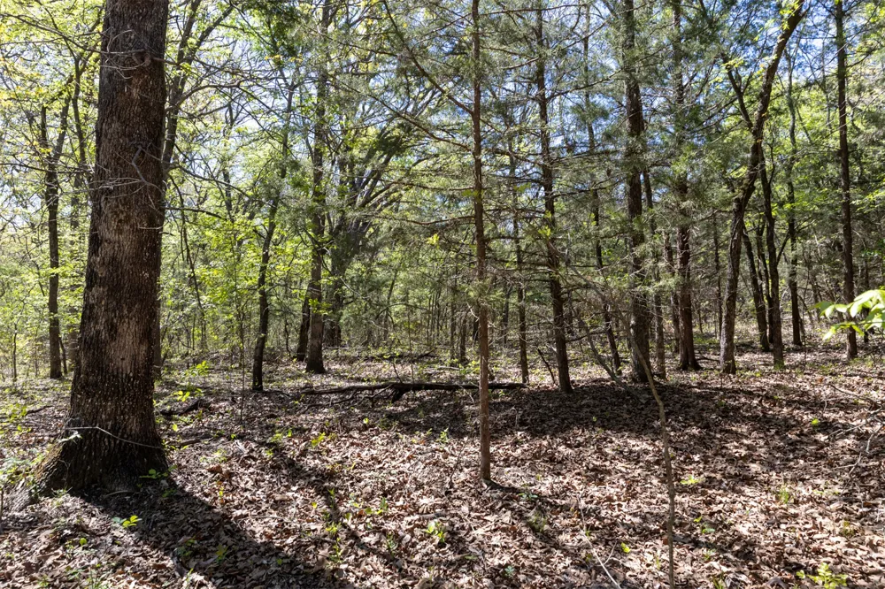 3 E 1180 ROAD Okemah, OK 74859