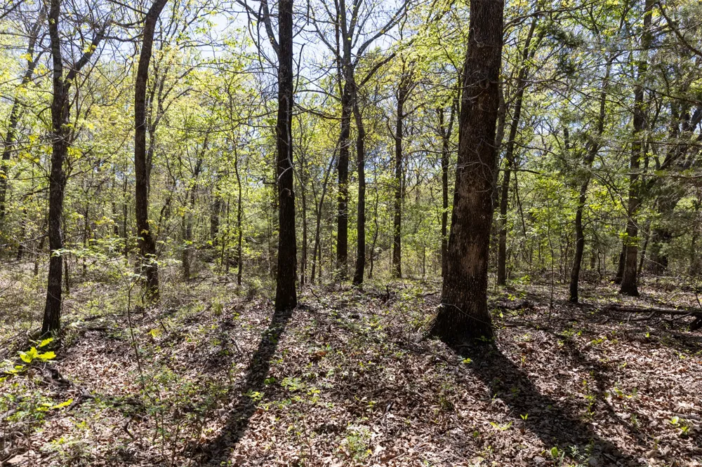3 E 1180 ROAD Okemah, OK 74859