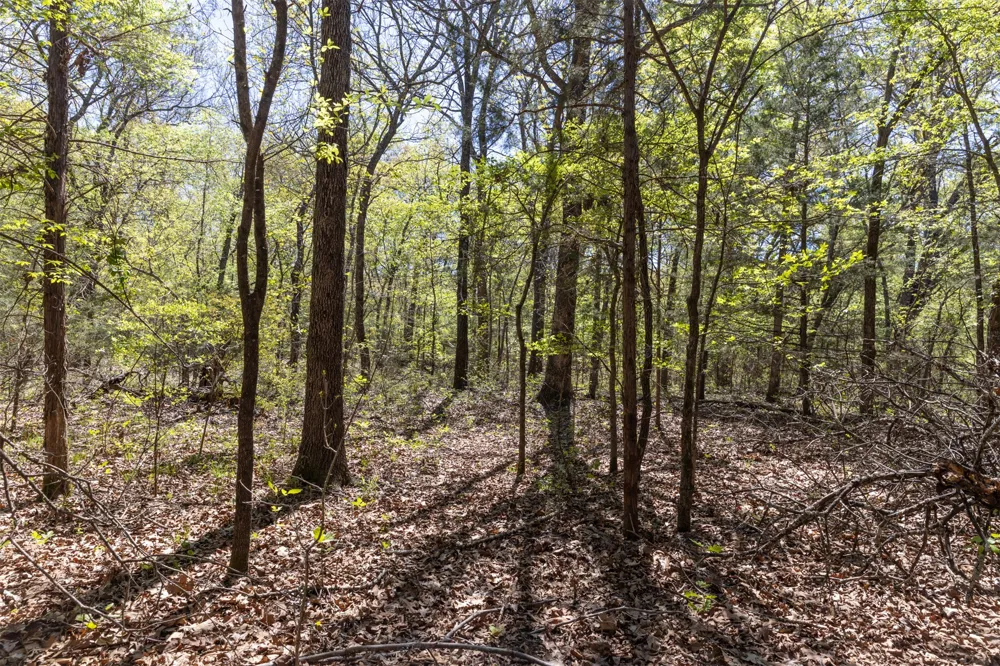 3 E 1180 ROAD Okemah, OK 74859