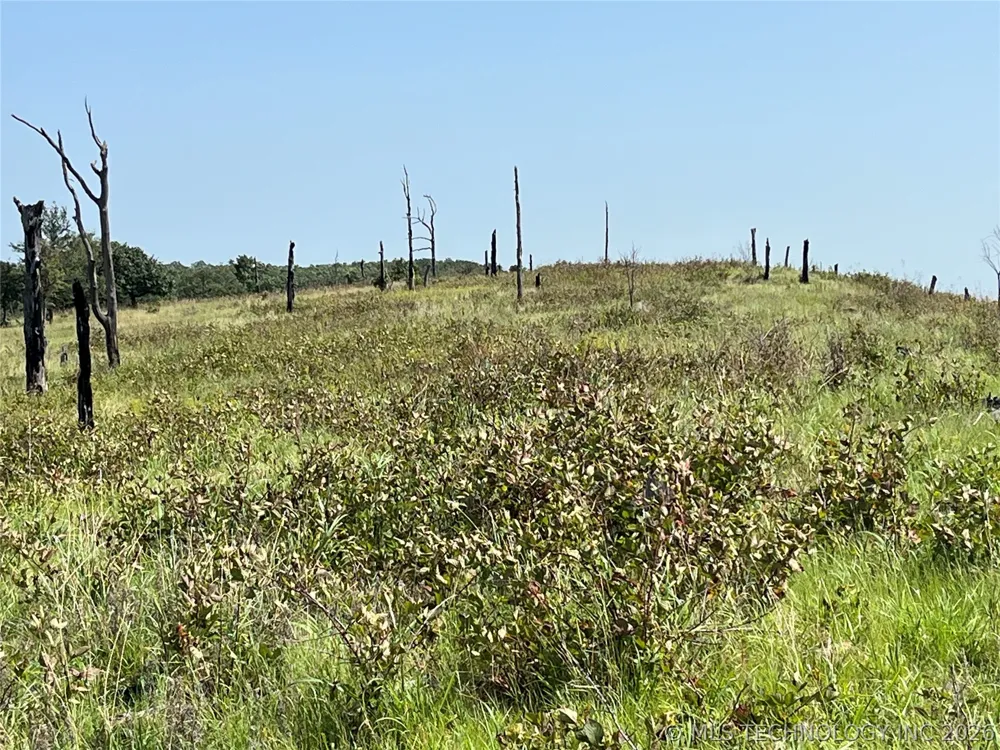 Hwy 69-75 Highway Stringtown, OK 74525