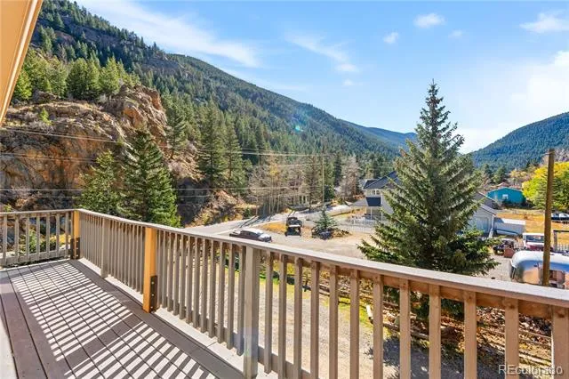 1463 Main Street Georgetown, CO 80444